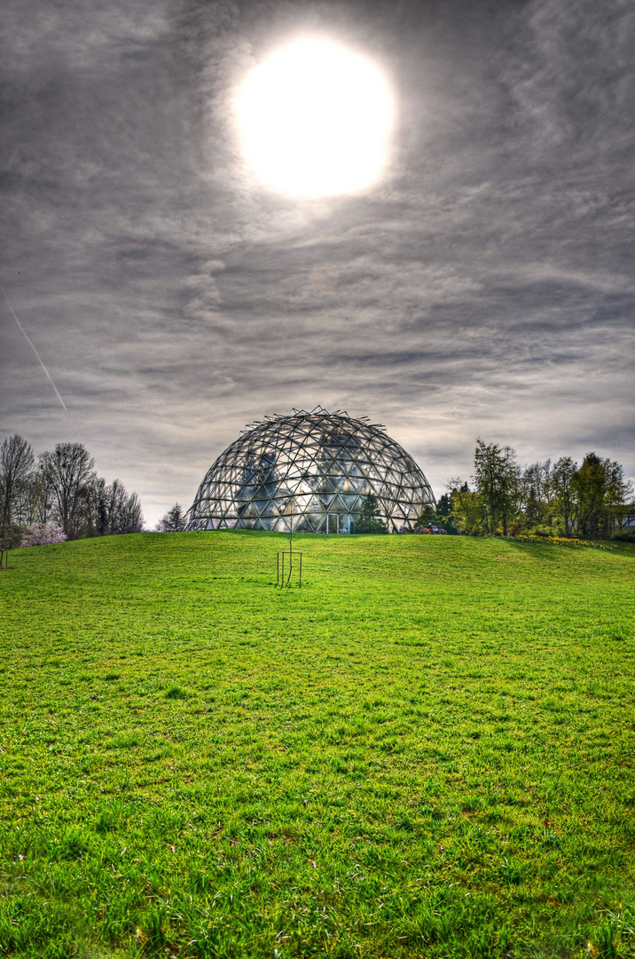 Botanischer Garten Düsseldorf HDR Foto & Bild