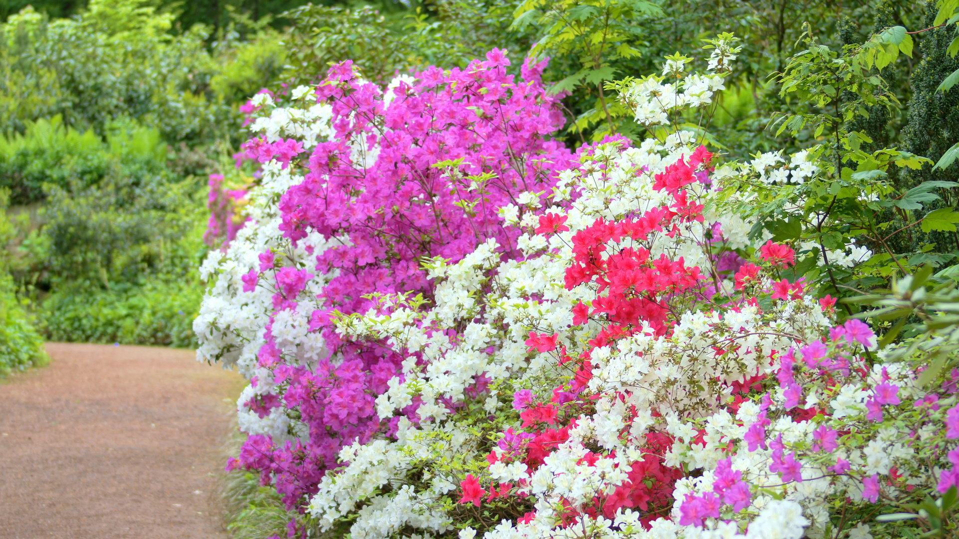 Botanischer Garten Duisburg Botanischer Garten Bochum