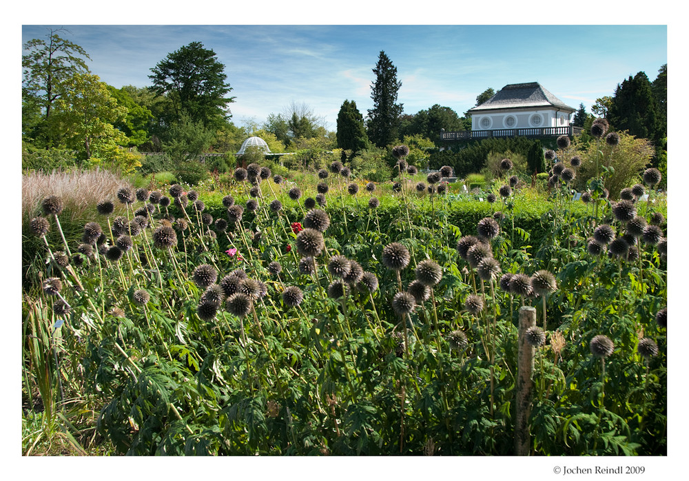 Botanischer Garten