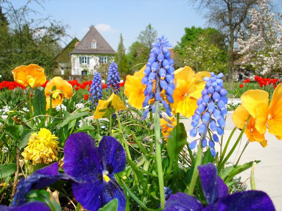 Botanischer Garten einmal anders