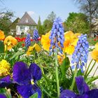 Botanischer Garten einmal anders