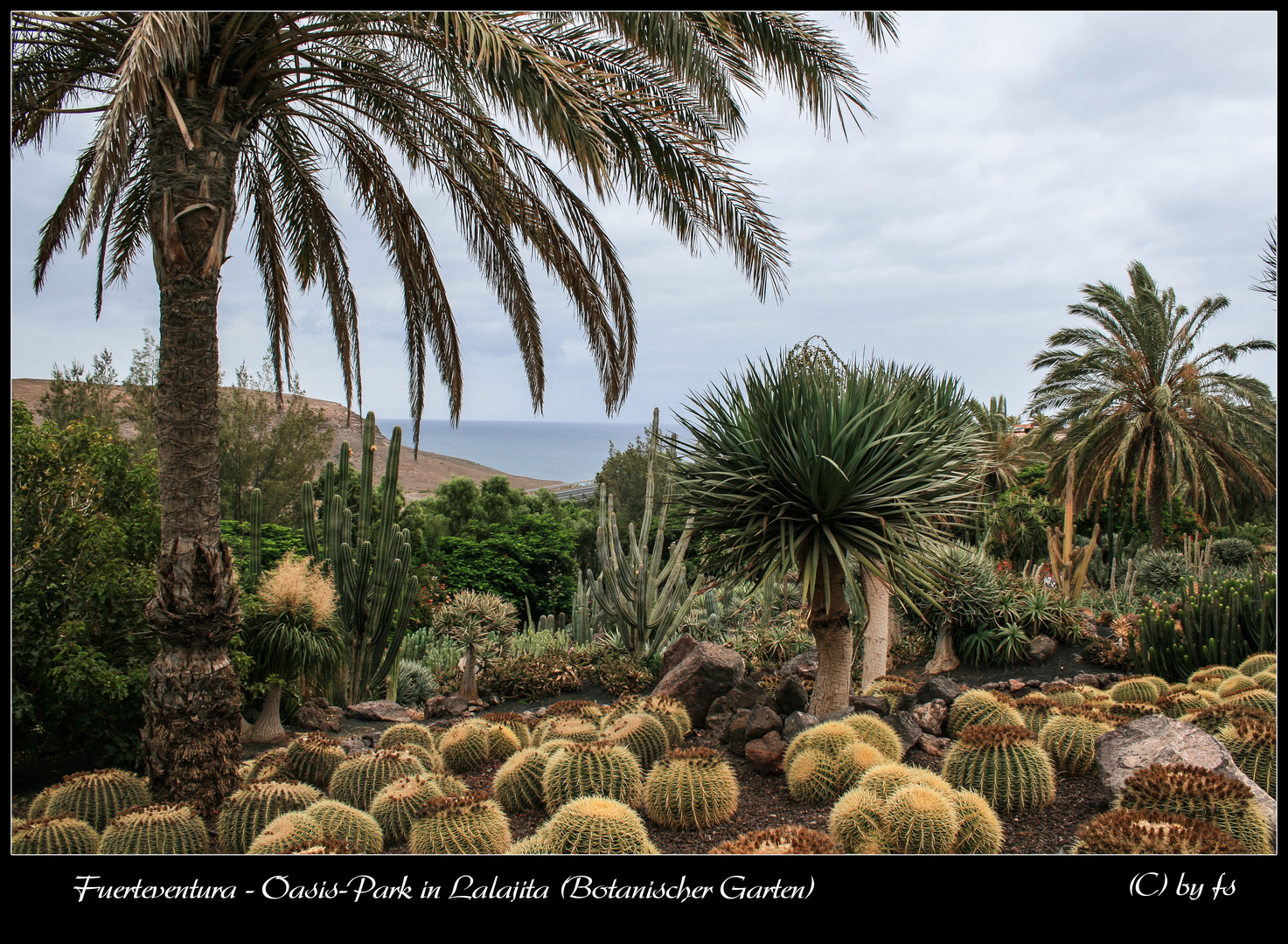 Botanischer Garten