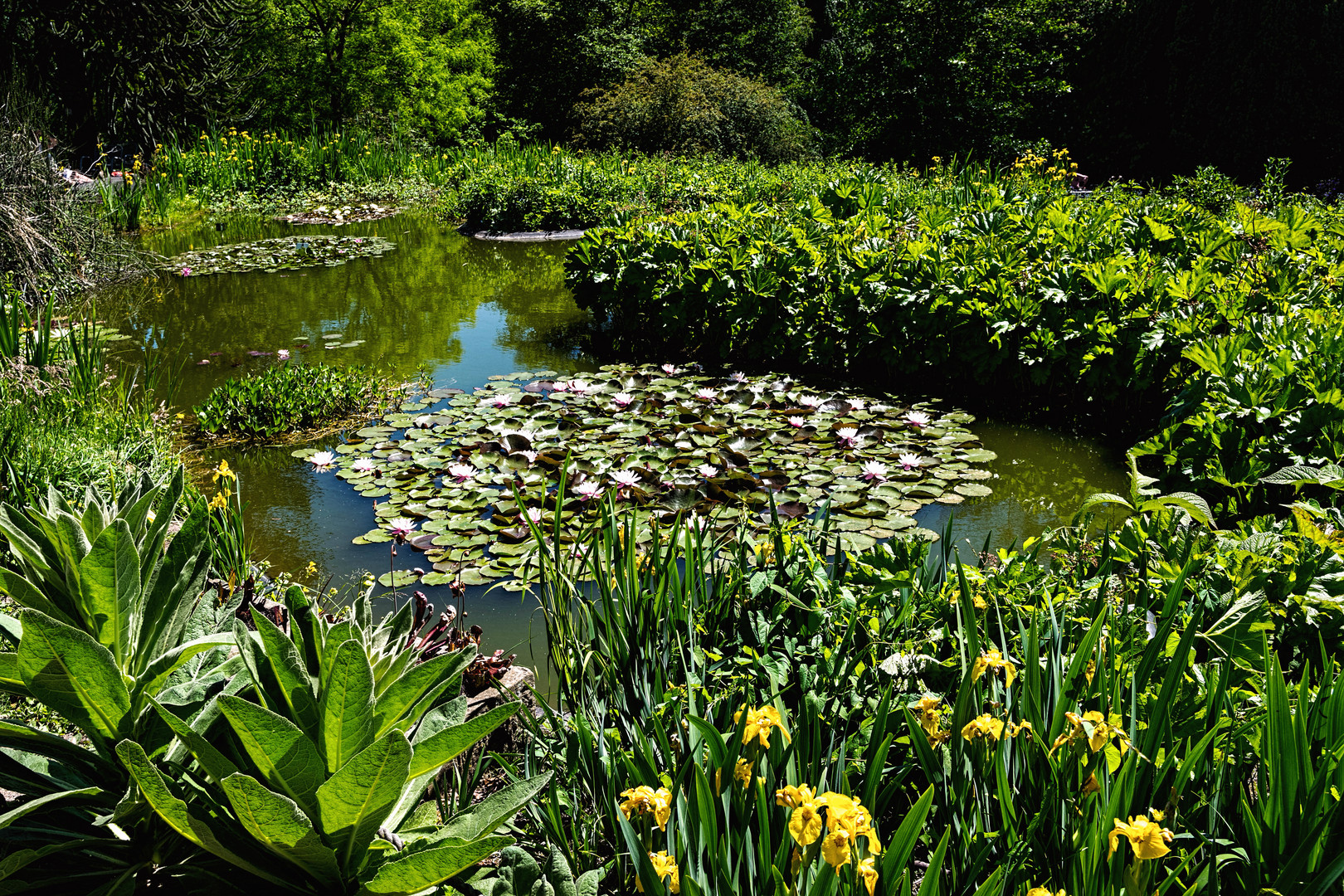 Botanischer Garten