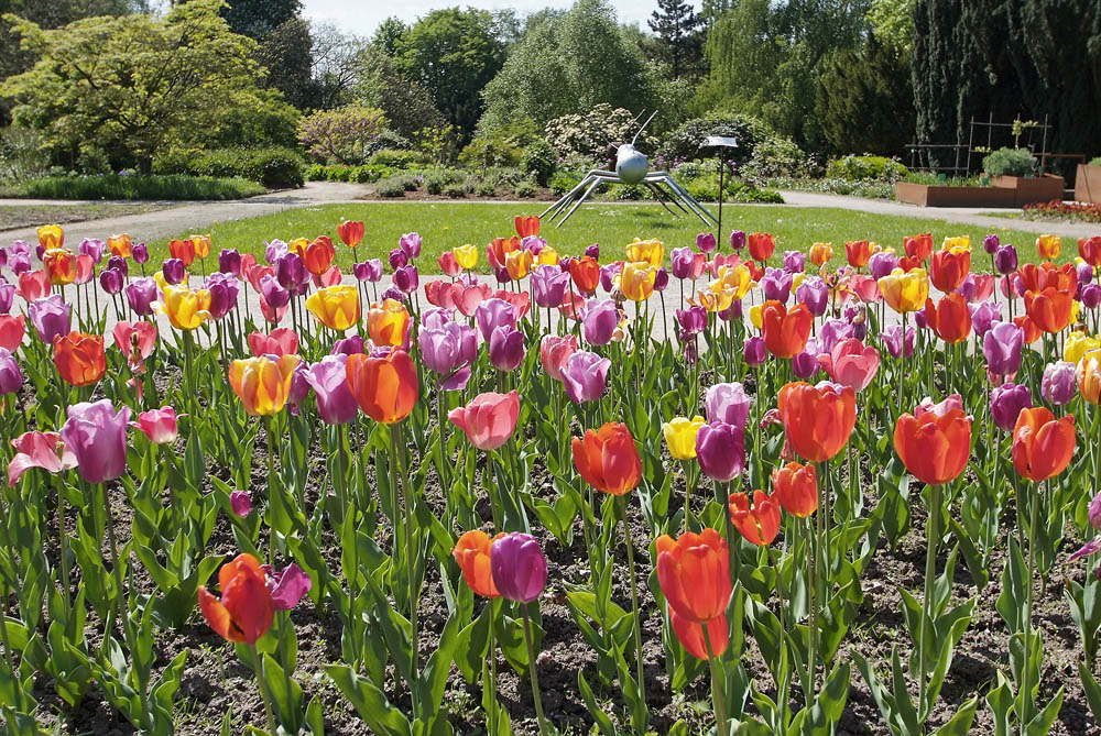 Botanischer Garten