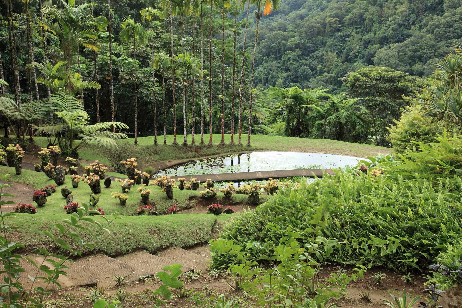 Botanischer Garten