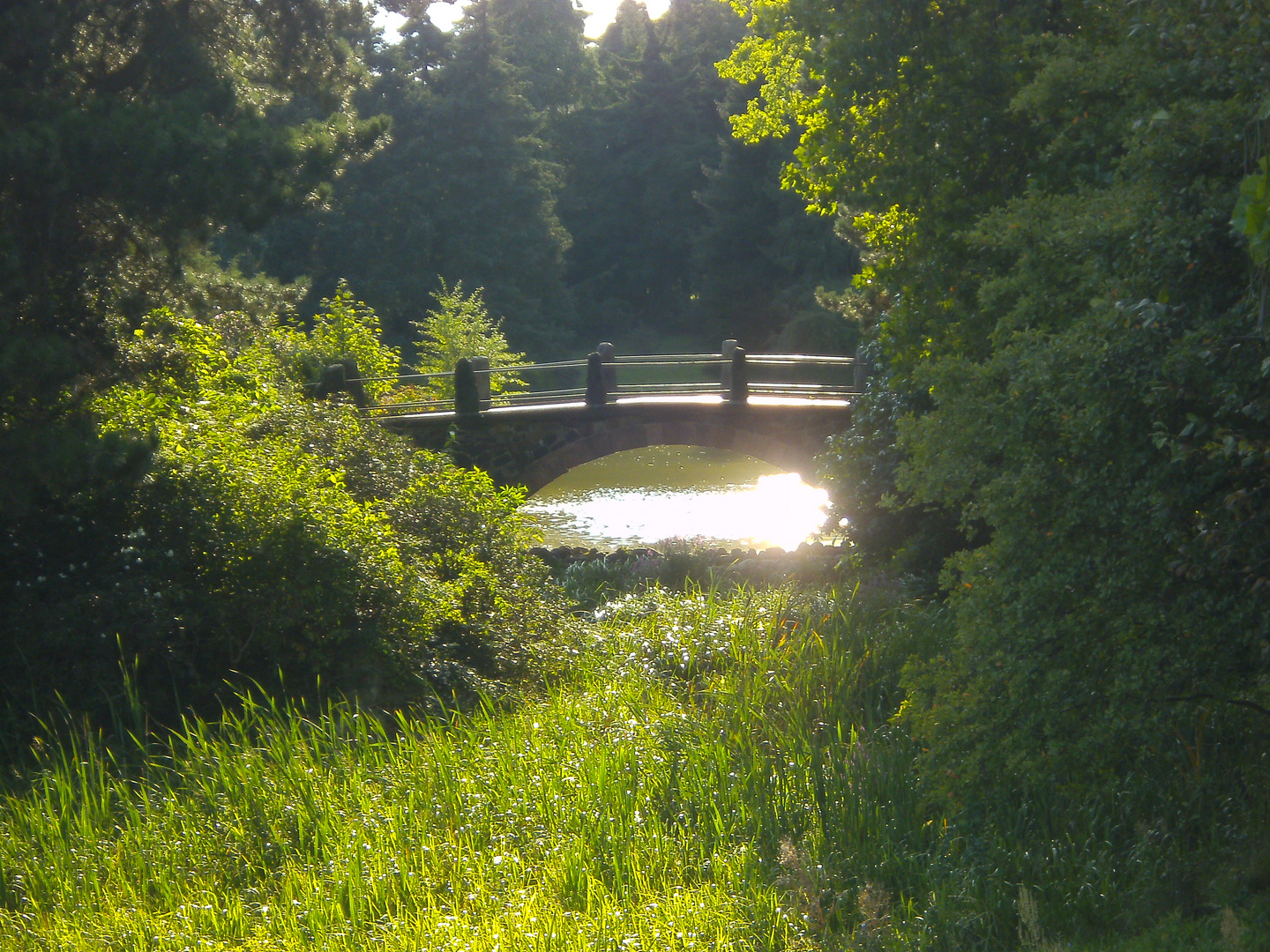 Botanischer Garten