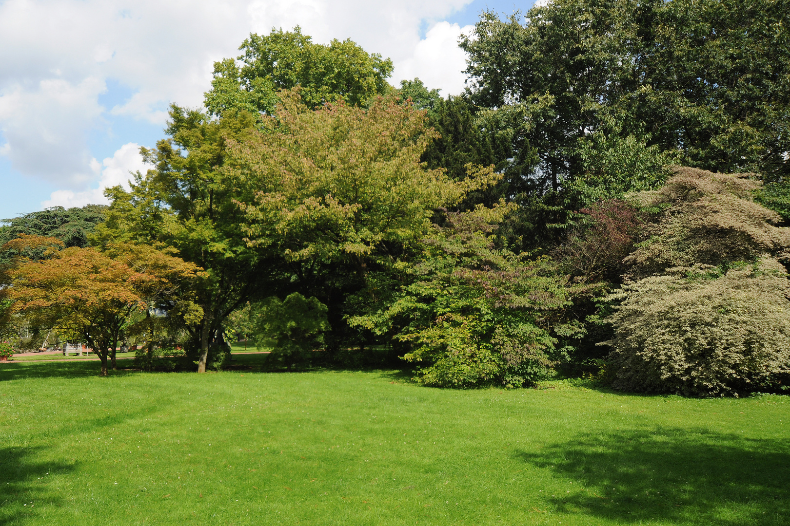 Botanischer Garten, Flora, Köln ( 03 )