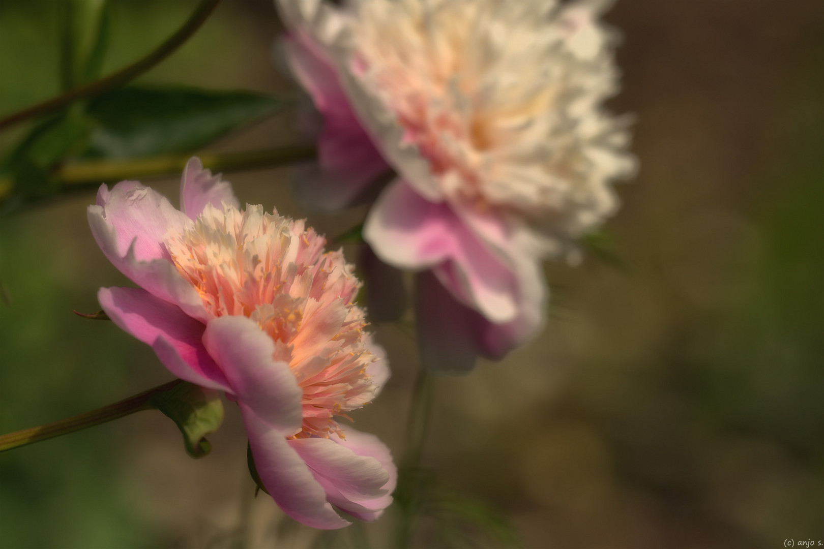 Botanischer Garten Frankfurt 01