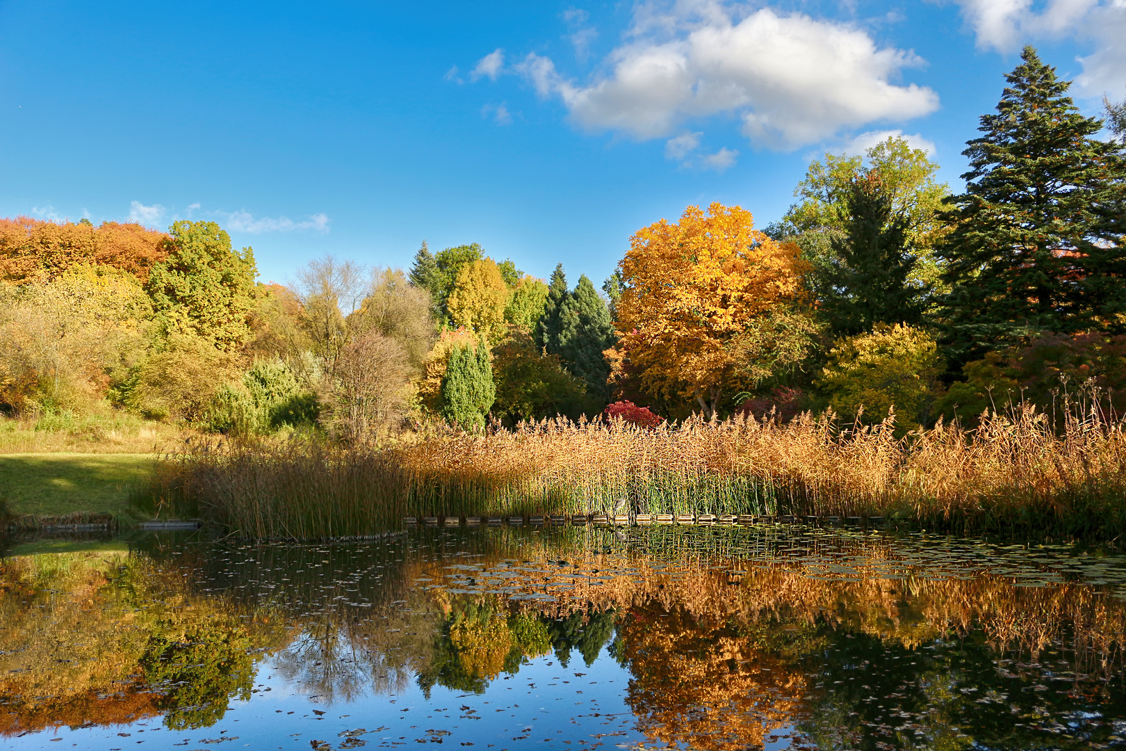 Botanischer Garten Frankfurt am Main Foto & Bild archiv