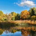 Botanischer Garten Frankfurt am Main