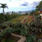 Botanischer Garten Funchal