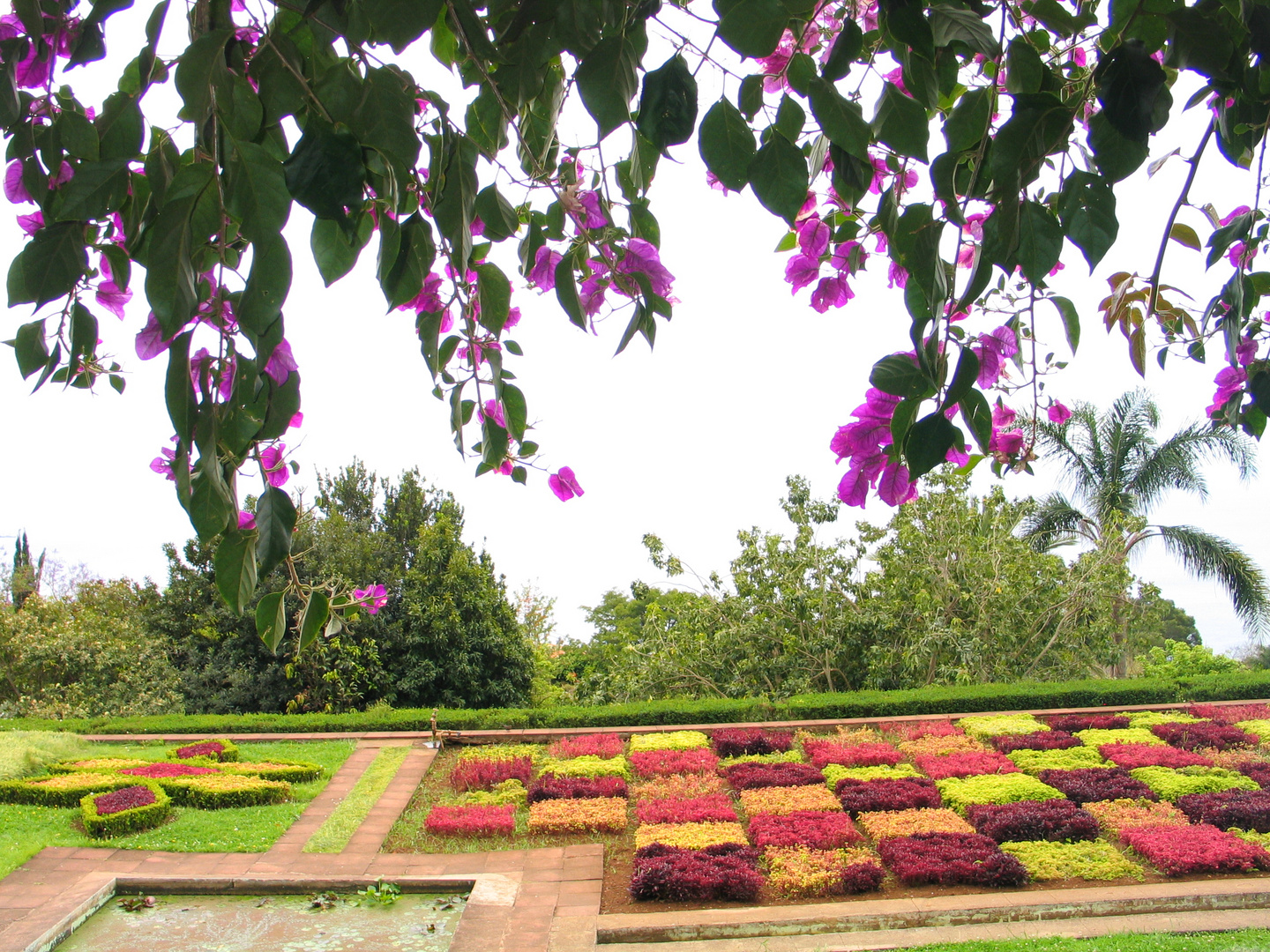 Botanischer Garten Funchal (Monte)