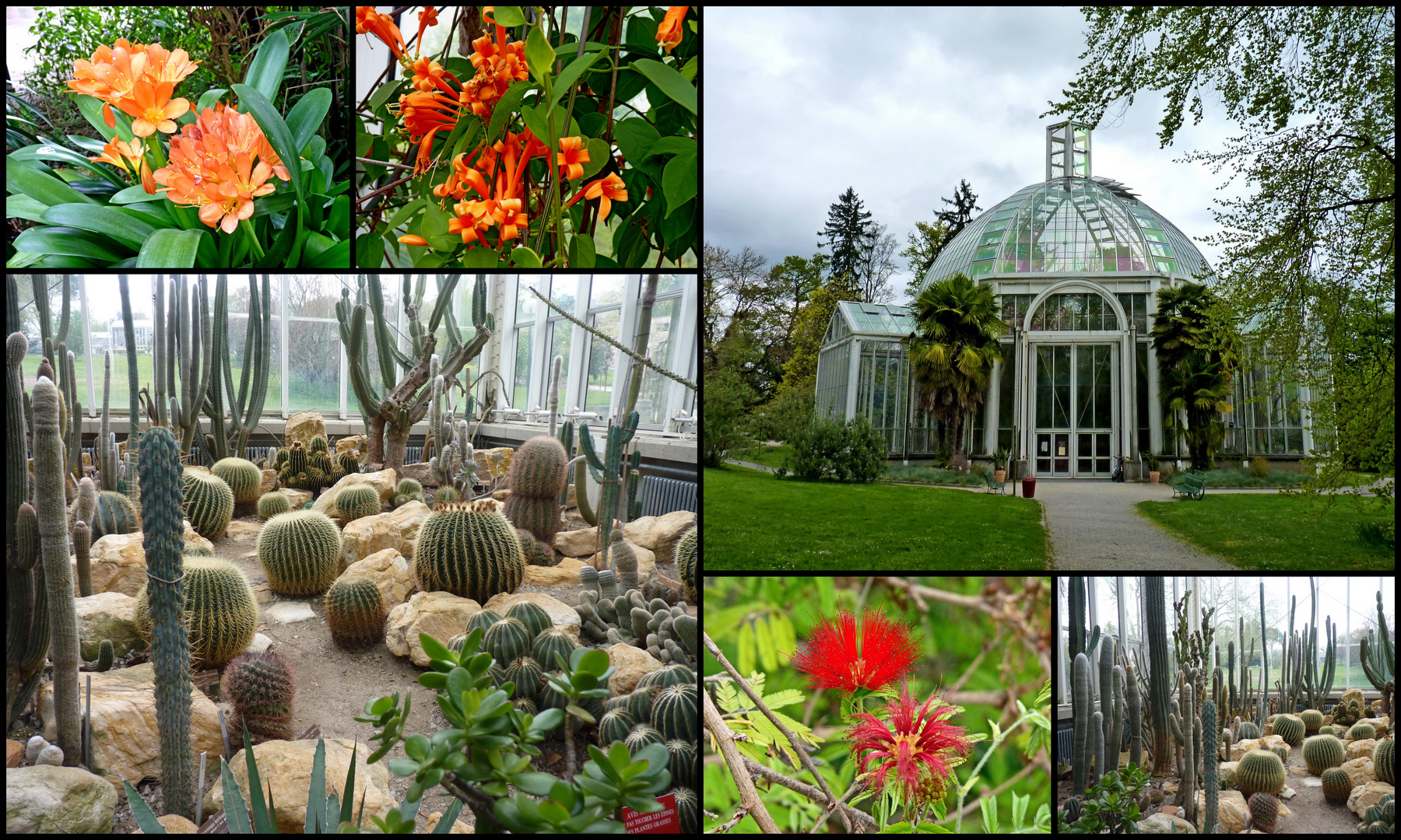 Botanischer Garten Magdeburg Botanischer Garten Jena