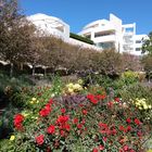 Botanischer Garten Getty Museum LA