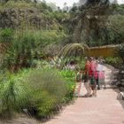 Botanischer Garten Gran Canaria - 3D Interlaced