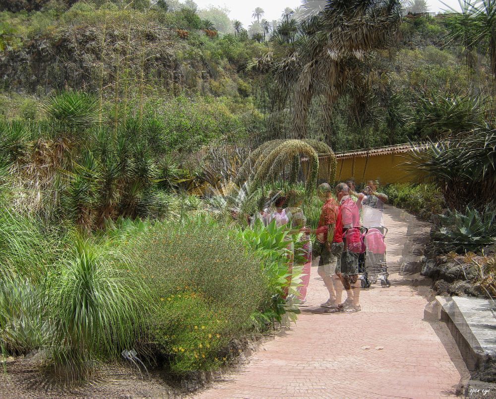 Botanischer Garten Gran Canaria - 3D Interlaced