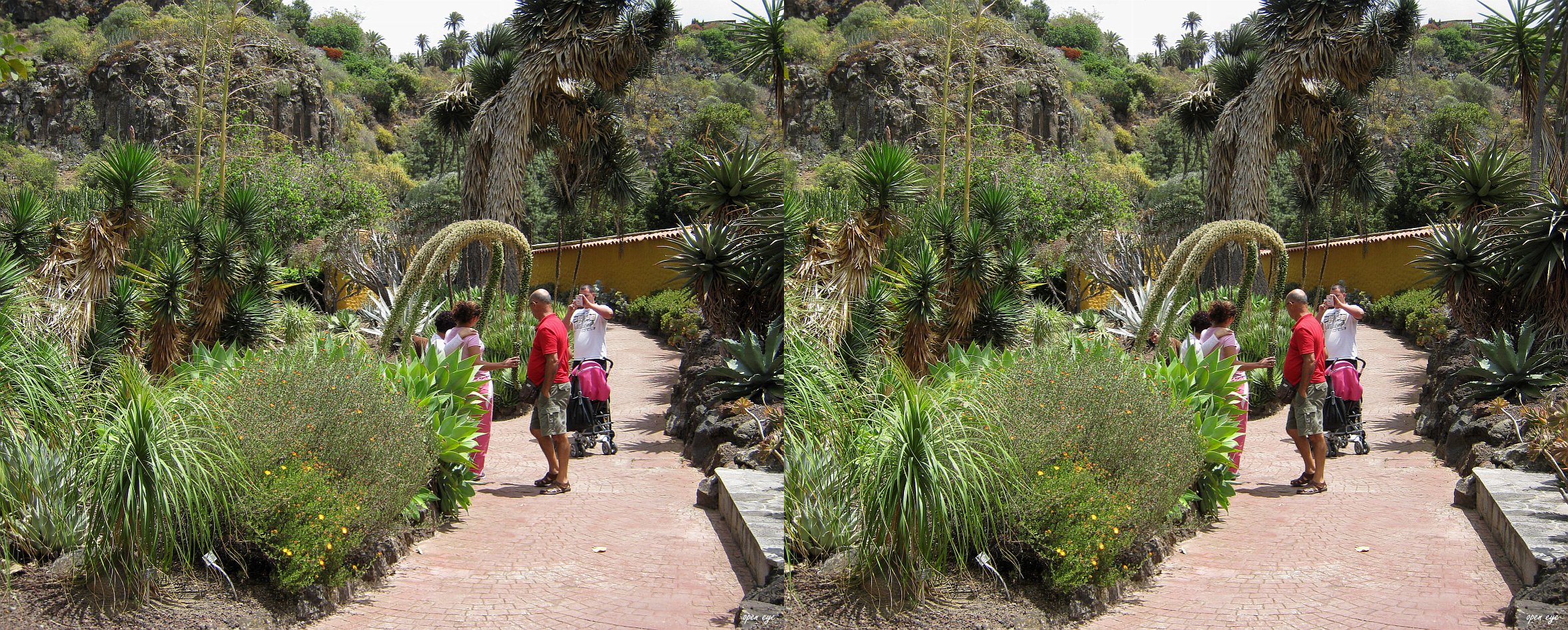 Botanischer Garten Gran Canaria - 3D Kreuzblick