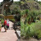 Botanischer Garten Gran Canaria - 3D Kreuzblick