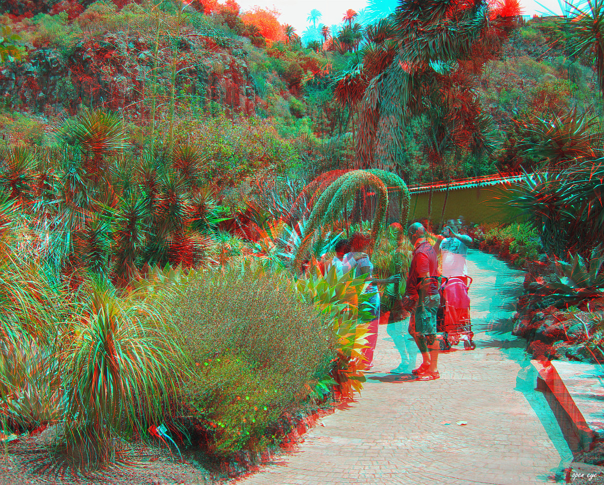 Botanischer Garten Gran Canaria - Anaglyphe