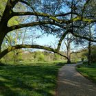 Botanischer Garten, Gütersloh