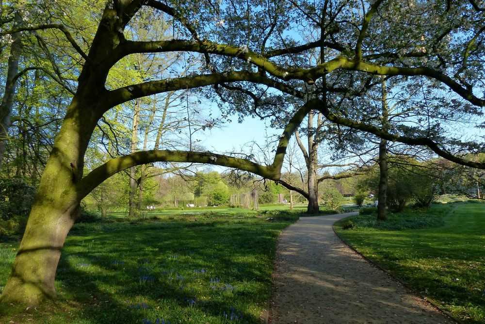 Botanischer Garten Gutersloh Foto Bild Jahreszeiten Fruhling