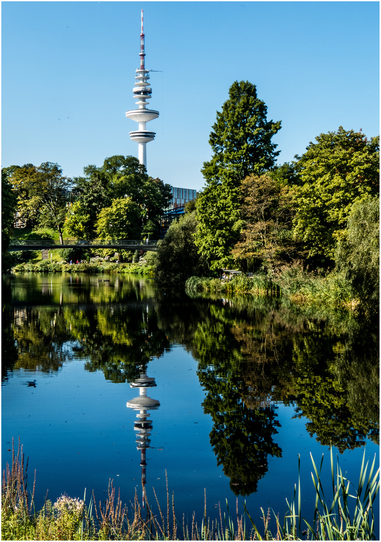 Botanischer Garten, Hamburg.