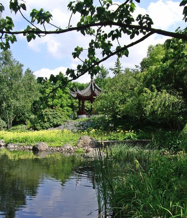 Botanischer Garten Hamburg Flottbek Foto & Bild landschaft, garten