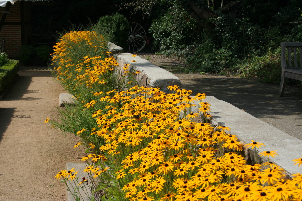 Botanischer Garten Hamburg, Klein Flottbeck -3-