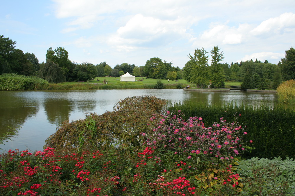 Botanischer Garten Hamburg, Klein Flottbeck Foto & Bild