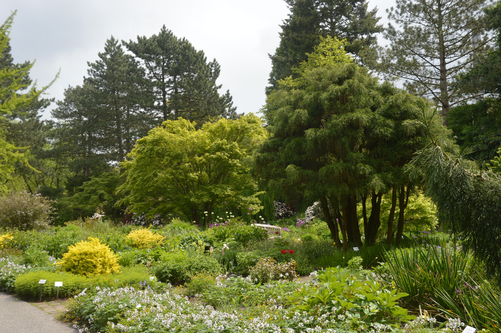 Botanischer Garten - Hamburg - Klein Flottbek