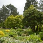 Botanischer Garten - Hamburg - Klein Flottbek