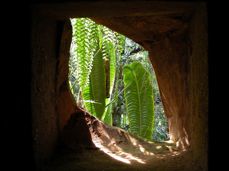 Botanischer Garten Hannover