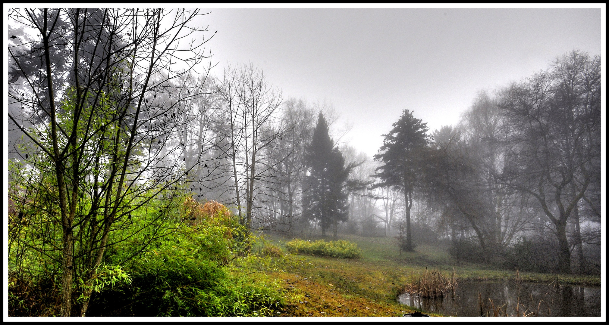 BOTANISCHER GARTEN HERBST