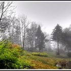 BOTANISCHER GARTEN HERBST