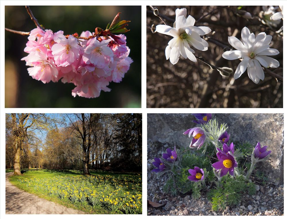 Botanischer Garten Hof