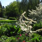 Botanischer Garten Hof