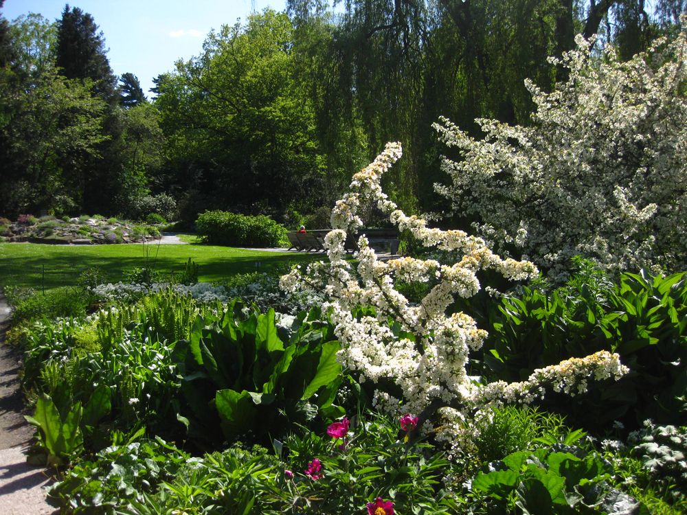 Botanischer Garten Hof