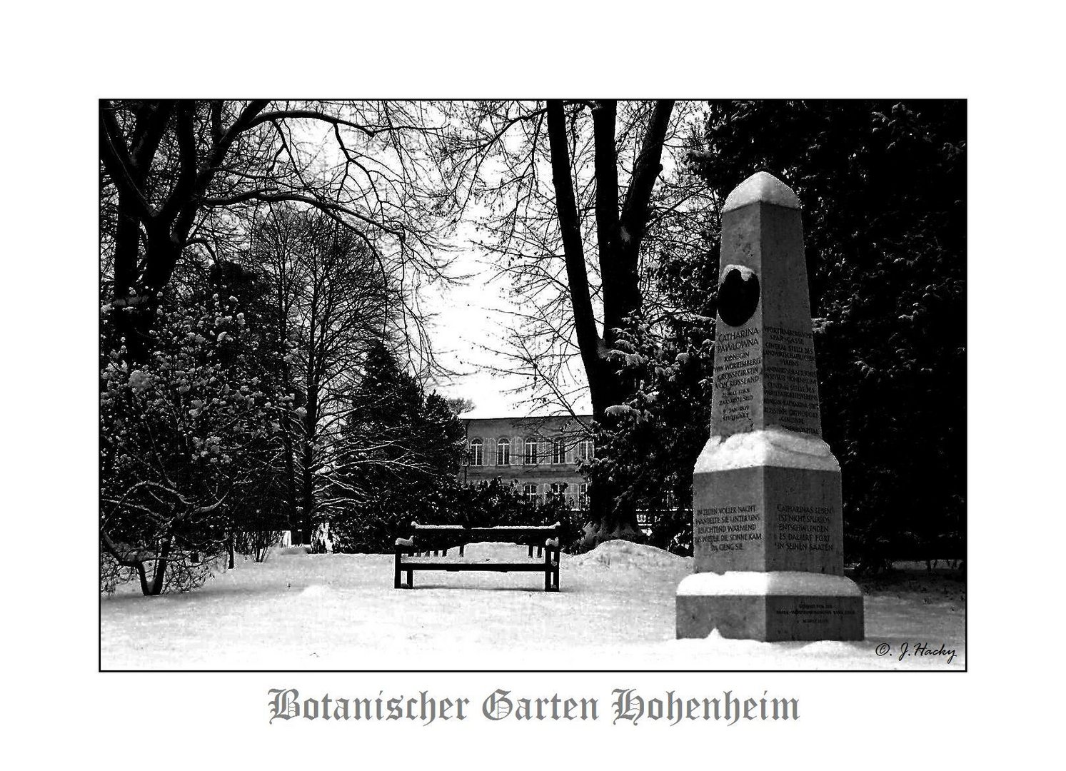 Botanischer Garten Hohenheim Foto Bild Natur Landschaft Auto