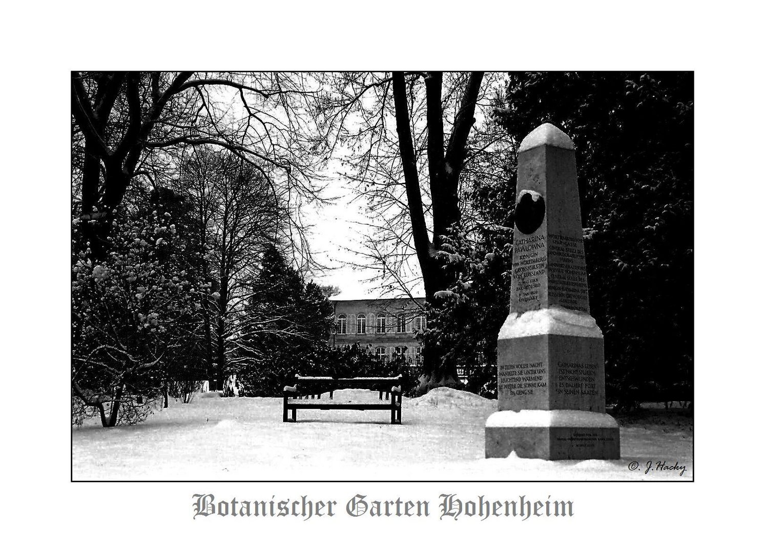 Botanischer Garten Hohenheim