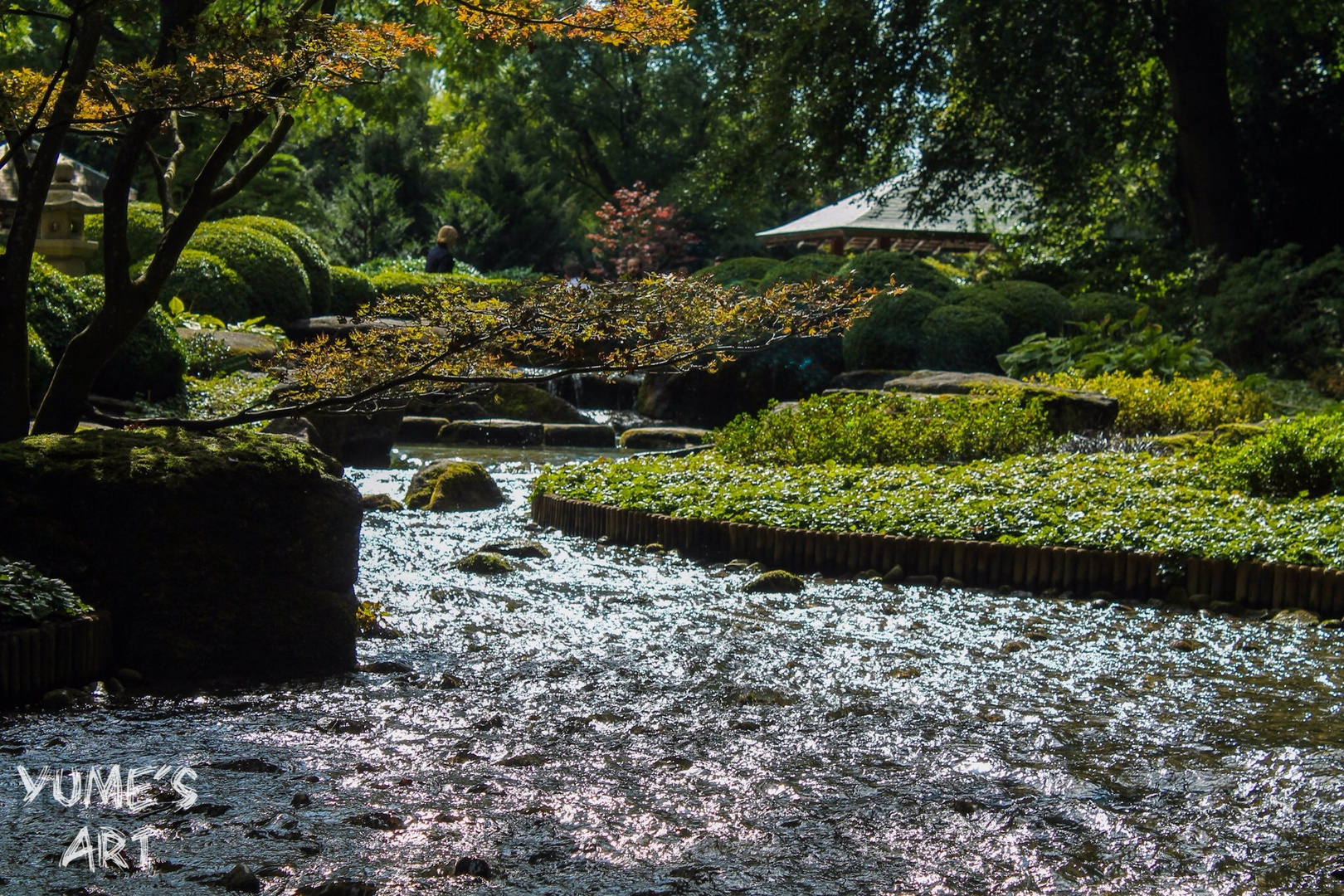 Botanischer Garten II