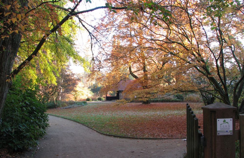 Botanischer Garten III