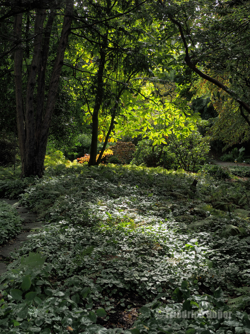 Botanischer Garten im Herbst_2