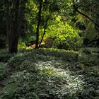 Botanischer Garten im Herbst_2