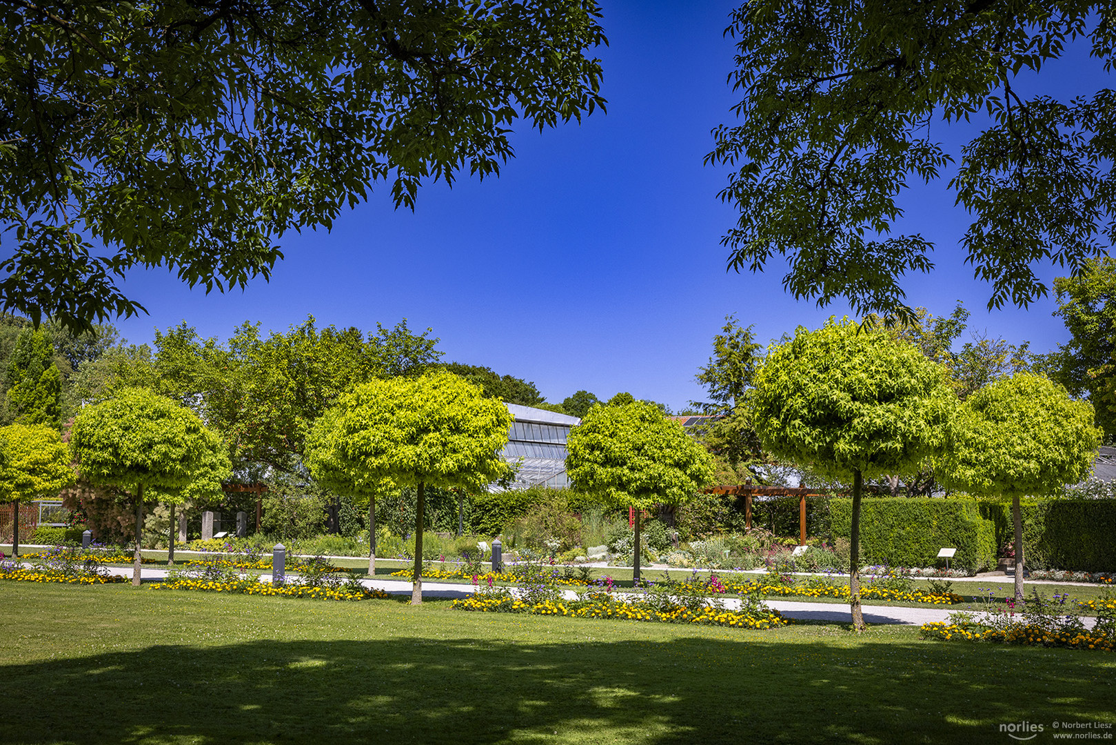 Botanischer Garten im Sommer