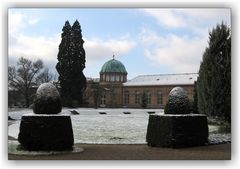 Botanischer Garten im Winter