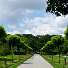 Botanischer Garten in Augsburg