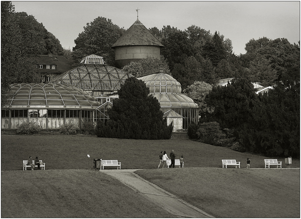 Botanischer Garten in Berlin