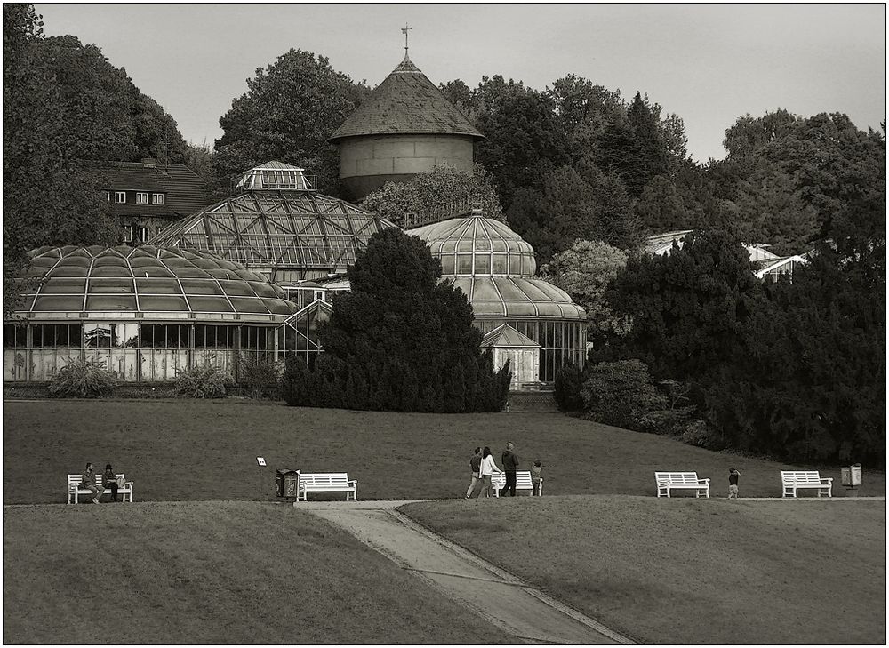 Botanischer Garten in Berlin