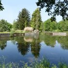 Botanischer Garten in Düsseldorf