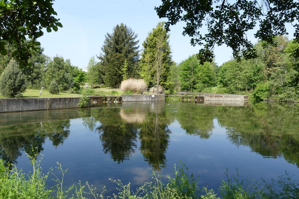 Botanischer Garten in Düsseldorf Foto & Bild landschaft